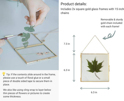 Glass Frame for Pressed Flowers