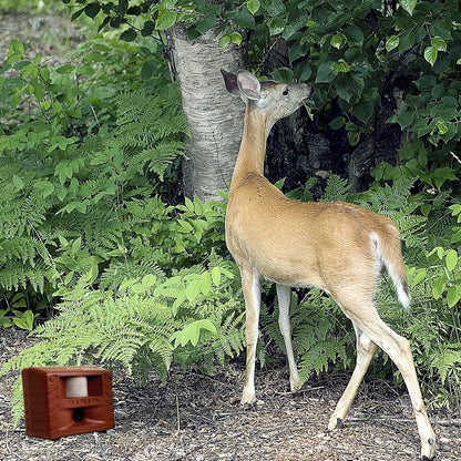 Ultrasonic Deer Repeller