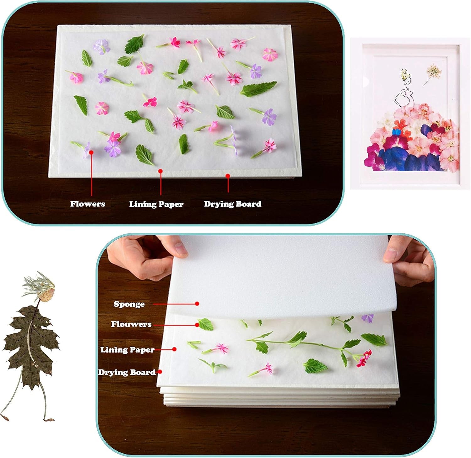 Kids Flower Press Kit