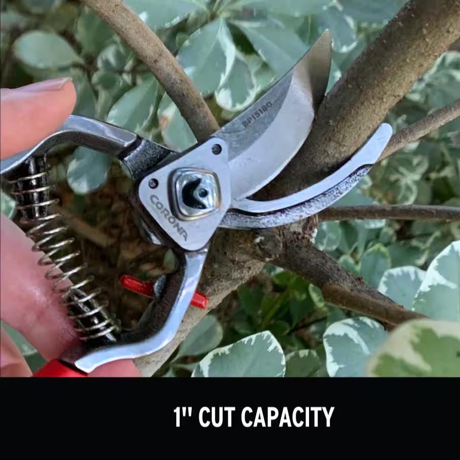 Carbon Steel Branch and Stem Pruner