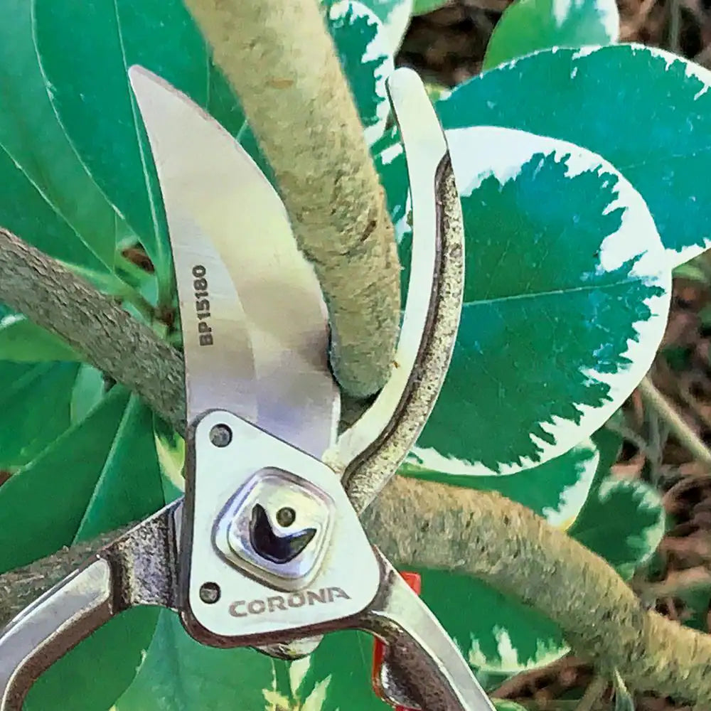 Carbon Steel Branch and Stem Pruner